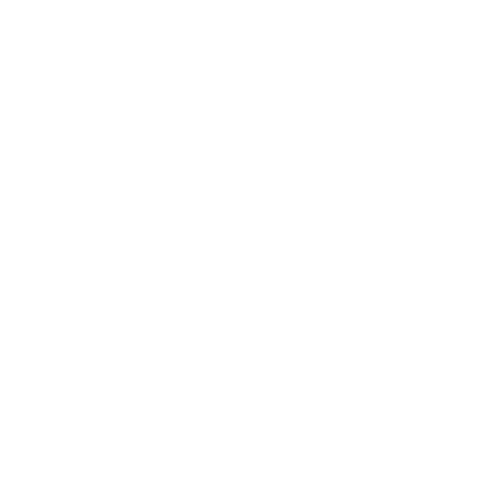 Clever style srl